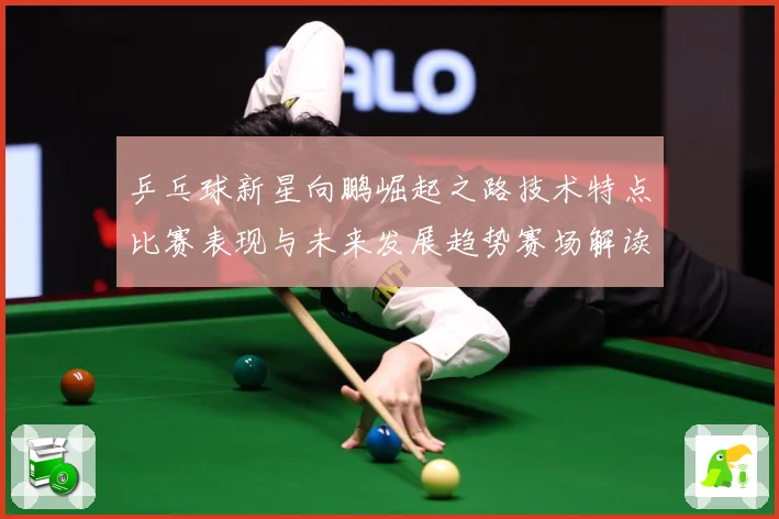 乒乓球新星向鹏崛起之路技术特点比赛表现与未来发展趋势赛场解读：最新赛事动态与深度分析